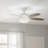 52'' Ceiling Fan with LED Lights-1487329154