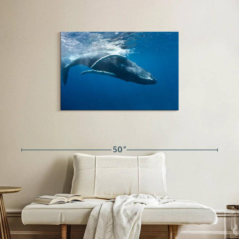 Brampt Humpback Whale, 24" H x 36" W