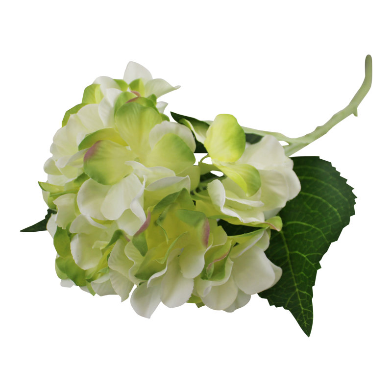 Hydrangea Arrangement, Light Green