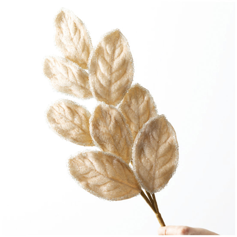 Ensemble de 3 feuilles de Magnolia de Noël de Sullivan, 27 po