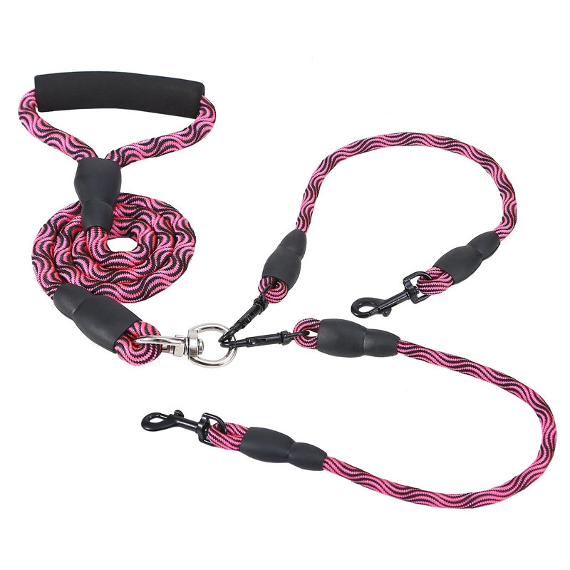 Dogs Walking Leash