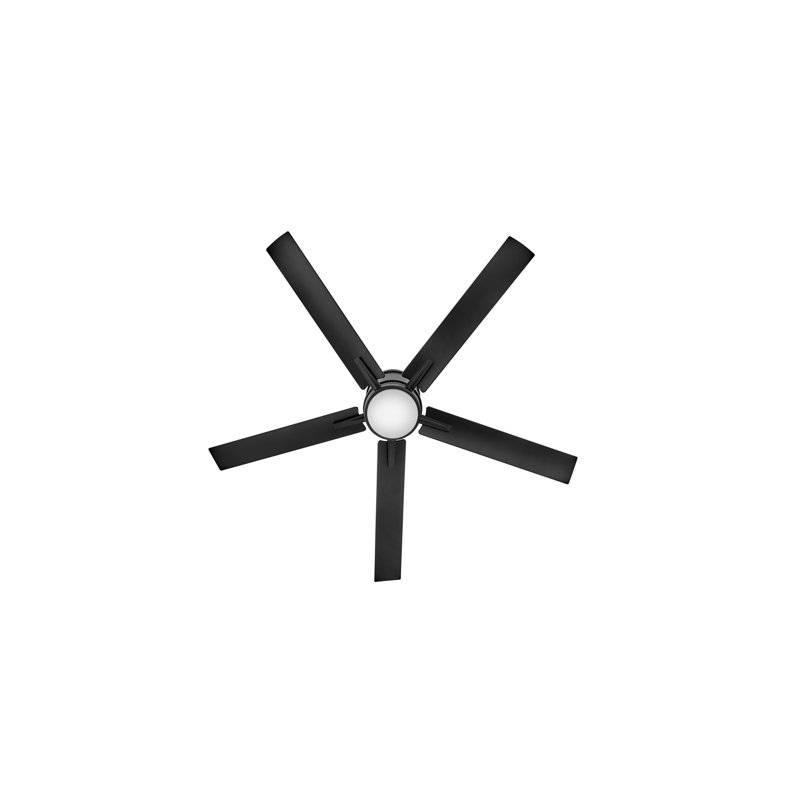 Vail Flush 52" Indoor/Outdoor Smart Ceiling Fan with Integrated LED + HIRO Remote, Matte Black