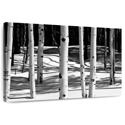 Harnek Aspens monochrome