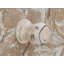 Deanna 50cm W Solid Wood Bedside Table