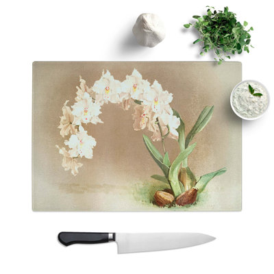 Glass Magnolia Flowers Illustration Tab. I by Frederick Sander Chopping Board