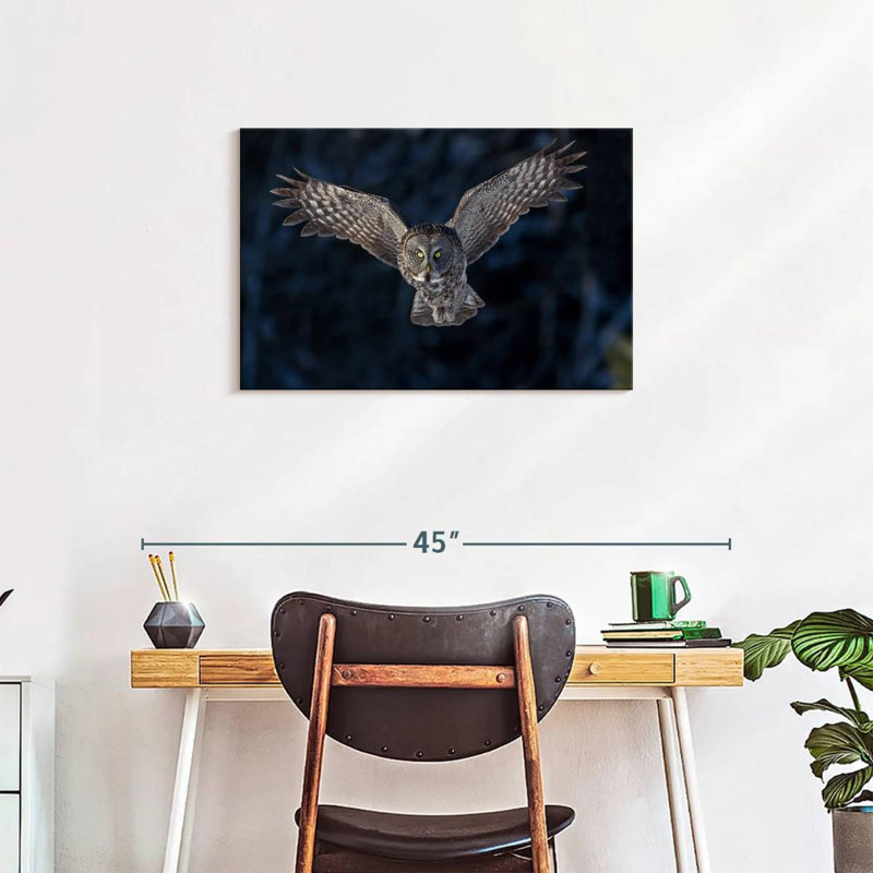 Hibou gris volant, H 20 po x l 30 po