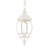Zuckerman Outdoor Hanging Lantern-24023234