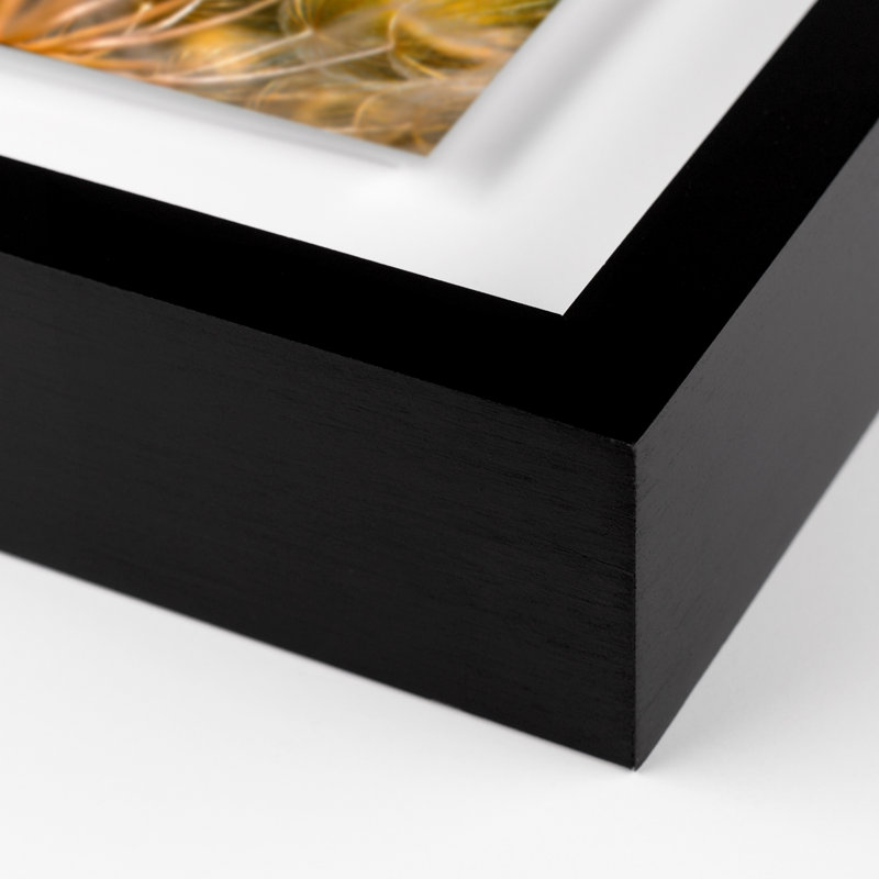 Float Away Print by Geoffrey Baris, 25" H x 40" W x 2.5" D, Black