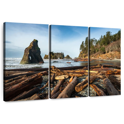 Bois flottant Alvord Ruby Beach