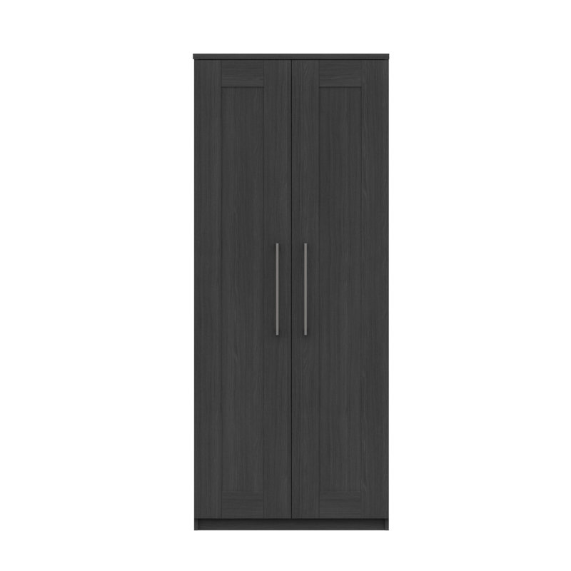 Alishma 2 Door Manufactured Wood Wardrobe, Graphite
