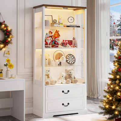 66" Tall Display Cabinet