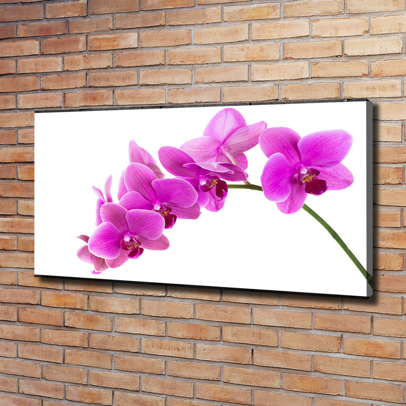 Pink Orchid - Wrapped Canvas Print