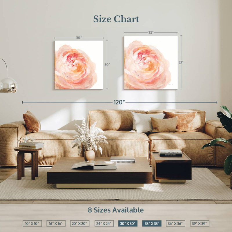 Rose de jardin sur fond blanc, H 33 po x l 33 po