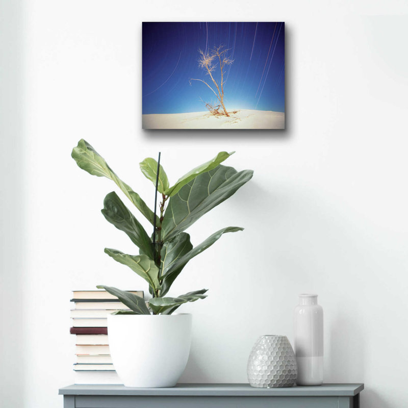 «Bright Cottonwood Drum Scan» par Thomas Haney, art mural en verre acrylique, H 12 po x l 16 po x P 0,13 po