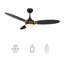 Ventilateur de plafond intelligent de 52 po Raddix avec télécommande, ensemble d'éclairage inclus Fonctionne avec l'assistant Google et Amazon Alexa, raccourci Siri.