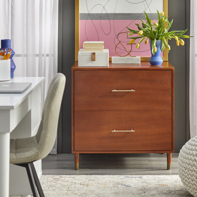 Camylle 30'' Wide 2 -Drawer File Cabinet