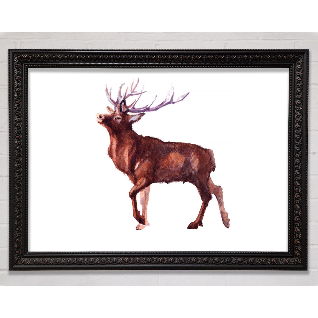 Red Stag Delight - Einzelner Bilderrahmen Kunstdrucke