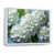 Cadre flottant blanc