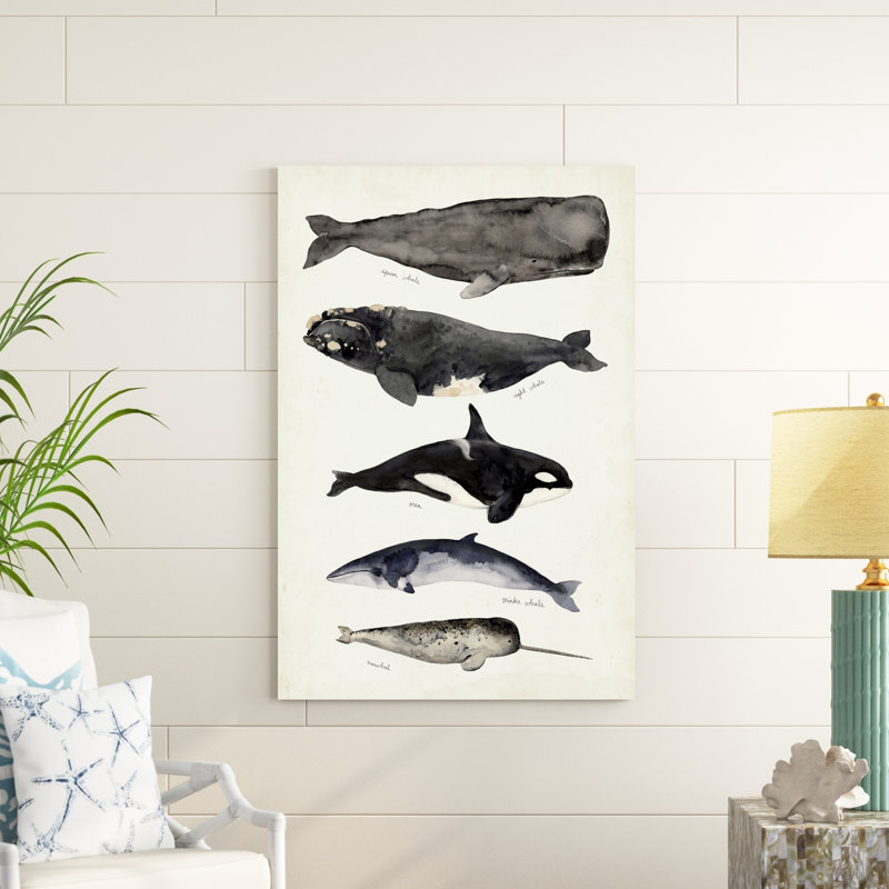 Carte des baleines I, H 48 po x l 32 po