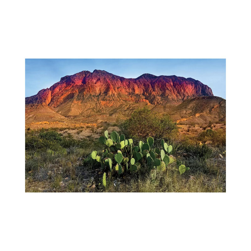 Chisos Mountains With Prickly Pear Cactus IV by Susanne Kremer - Gallery-Wrapped Canvas Giclée on Canvas, Canvas