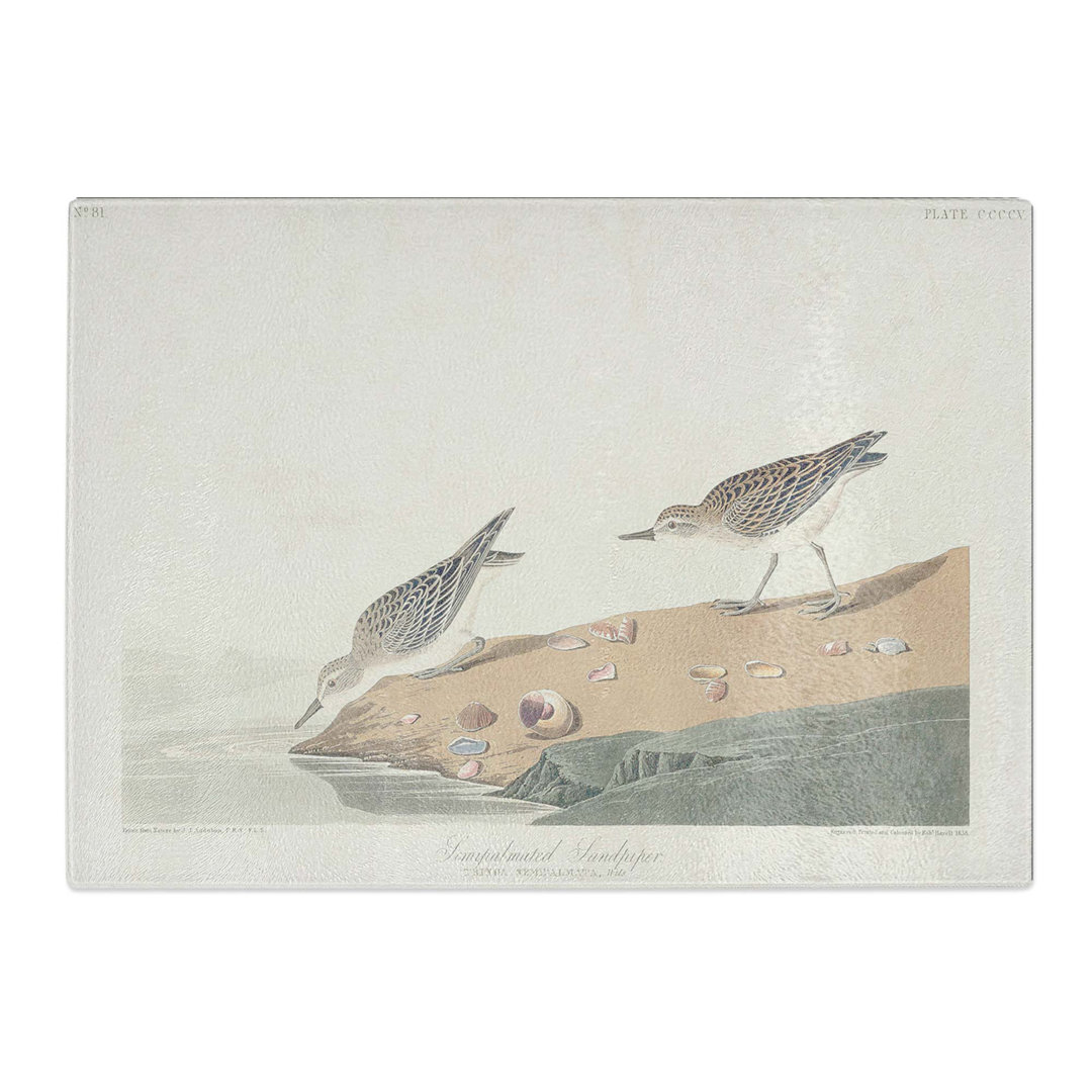Tempered Glass Semipalmated Sandpiper by John James Audubon Chopping Board