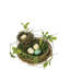 Nest with Eggs