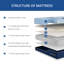 Matelas hybride mi-ferme 12 po Egohome Tenzura-1037584922-1032336780