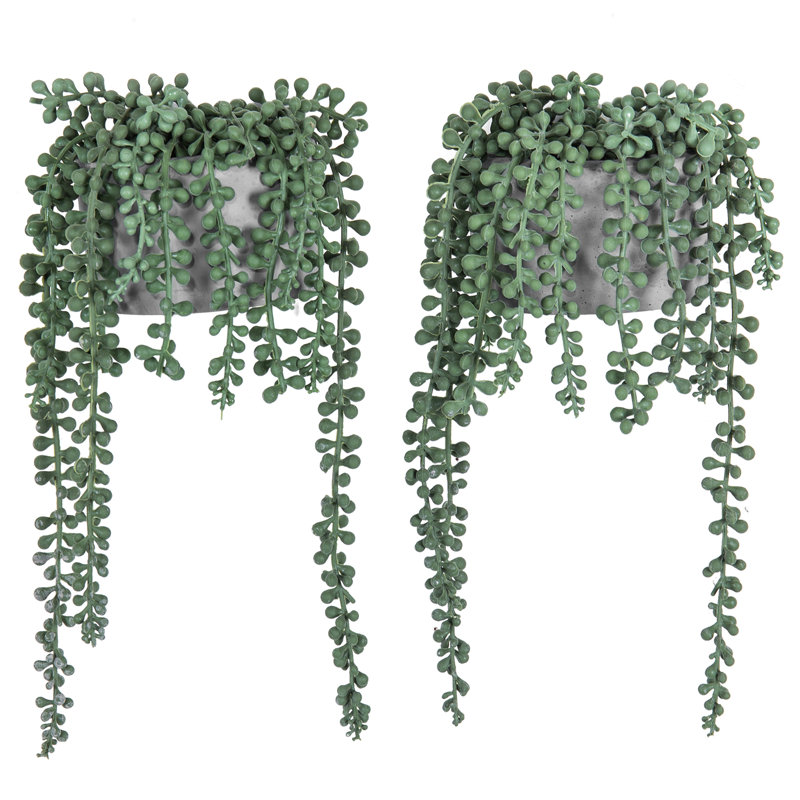 31cm Faux Succulent Plant in Cement Pot