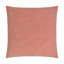 Keller Pillow Cover & Insert-114599705-47369841