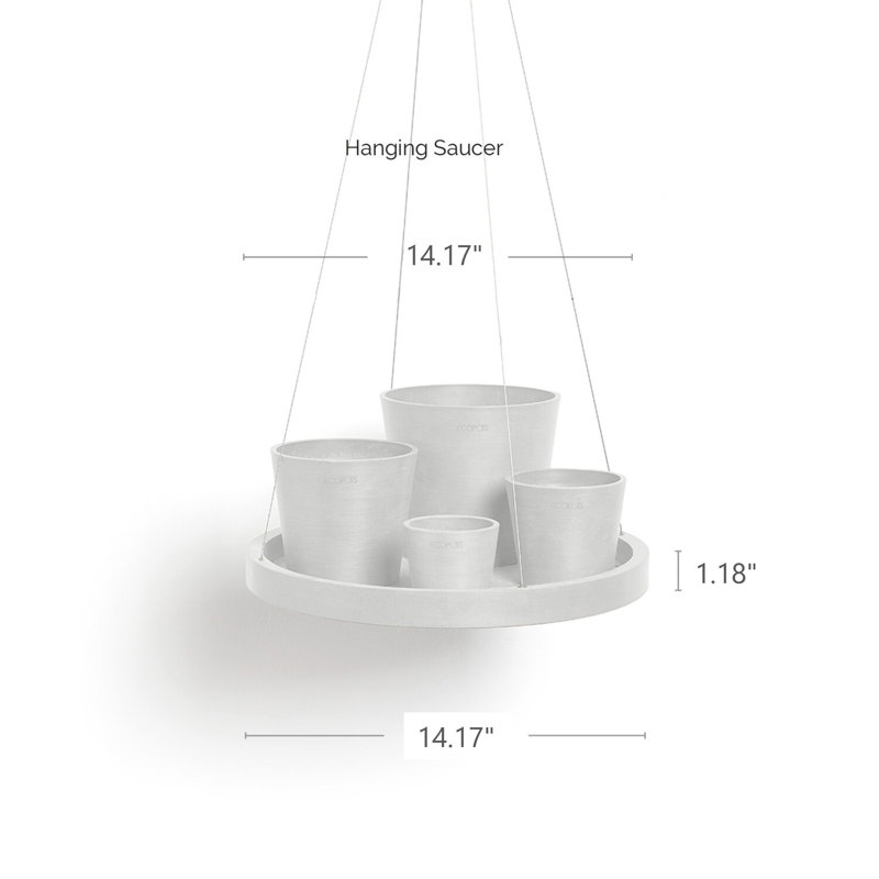 Saucer Plant Stand