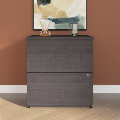 Pasiak 2 Drawer Lateral File Cabinet