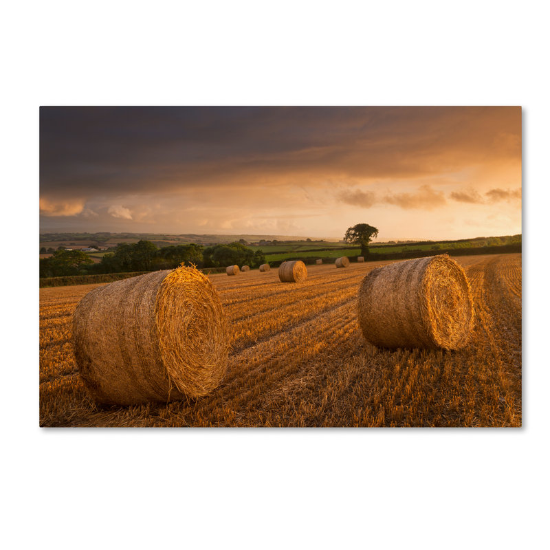 «After the Rain» par Moises, reproduction de photo sur toile tendue, H 22 po x l 32 po x P 2 po