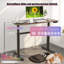 Standing desk; Standing desk; Computer desk;