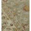 Agra Wool Oriental Area Rug in Beige