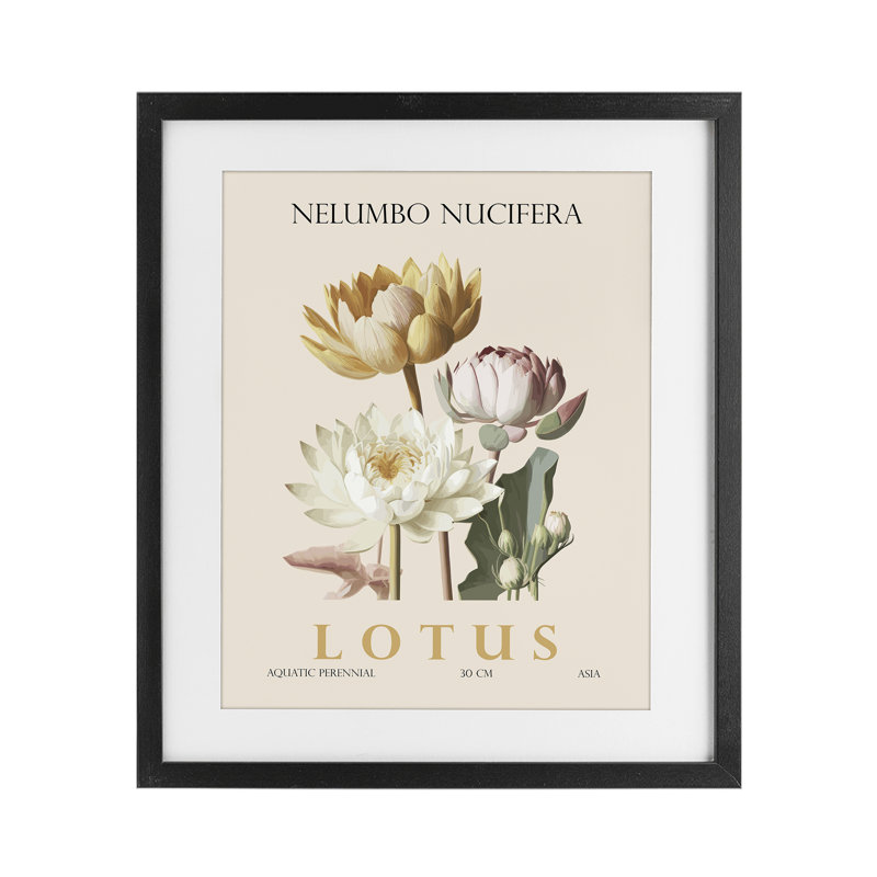 Lot de lotus naturel, reproduction encadrée sous verre, design par Christopher Giampietro, H 21 po x l 17 po