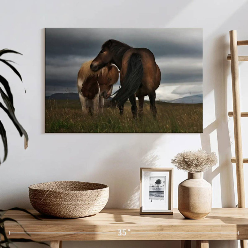 Poney gratuit Brampt, H 16 po x l 24 po