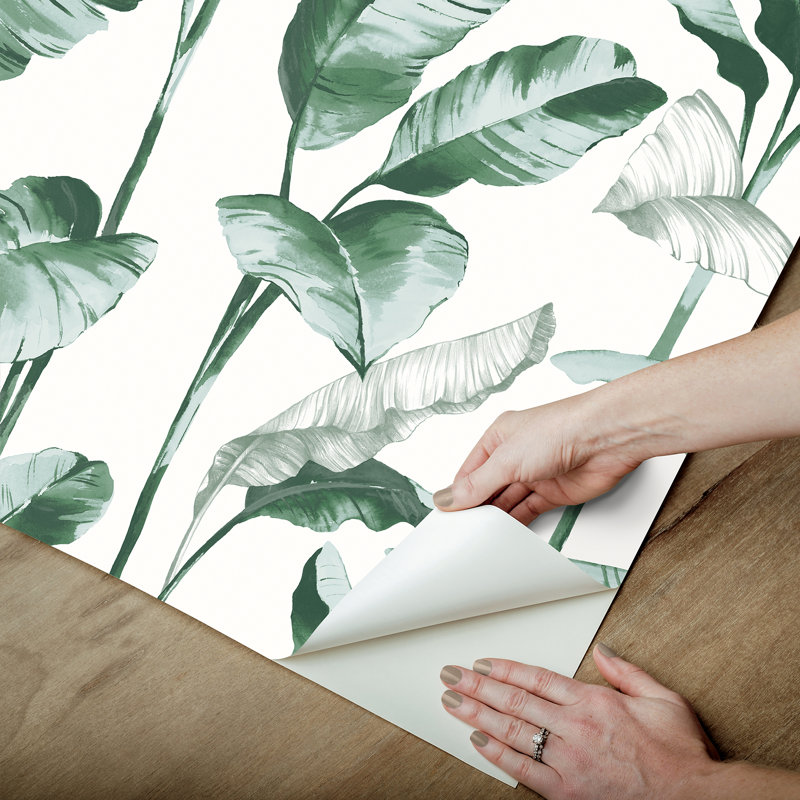 Sophany Leaves, Vert foncé