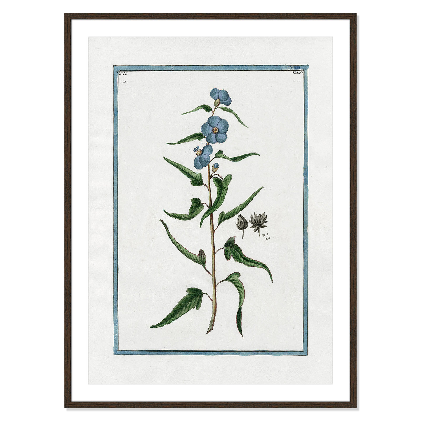 Colombe "Shabby Elegance Botanical I" Print, 29.5" W x 41.5" H, Walnut Framed