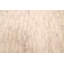 Tapis crème Renuka 8 pi 1 po x 9 pi 3 po