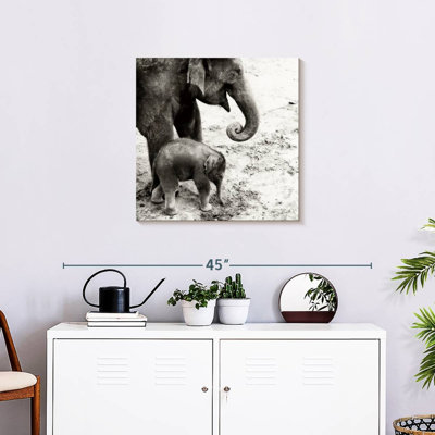 Brampt, mère et fille, éléphant