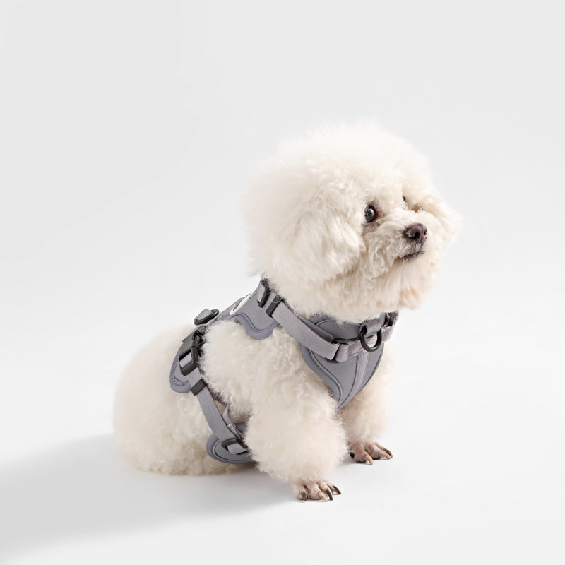 Harnais pour animal de compagnie Arlo, Gris