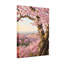 Plantes et fleurs, fleurs de cerisier, paysage printanier-1391813718