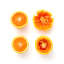 Chef'n Freshforce Manual Citrus Juicer