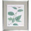 Botanical I Print by Haslam