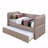 Daybed With A Trundle-364802929-364802940
