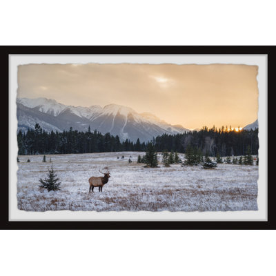 Snowy Winter - Single Picture Frame Print