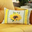 Coussin décoratif