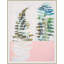 Ferns Manifested 2 Framed Print-397554065