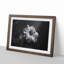Geranium Flower in Abstract - Framed Print-55726983-55726984