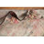Tapis traditionnel antique géométrique 3 x 6